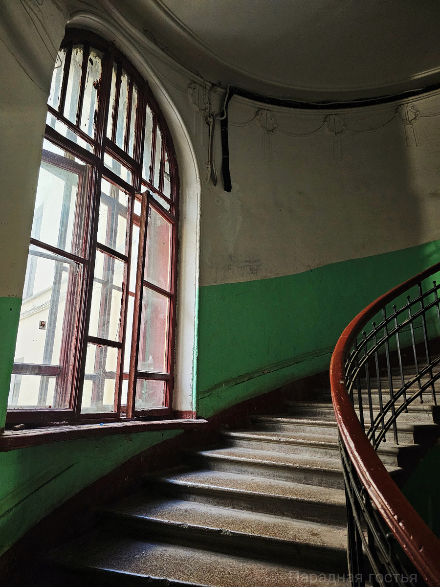 Фото: Парадная гостья