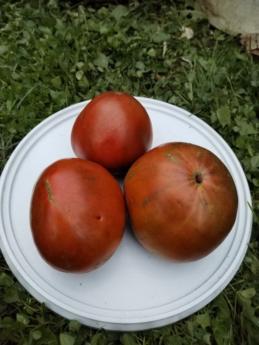 Красное масляное сердце