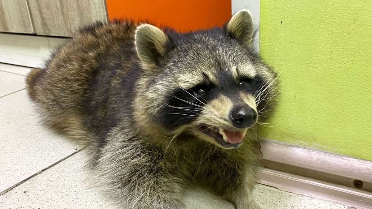    Фото: «Психиатрическая клиника имени Дж. Харрисона ПредлагаеТ»