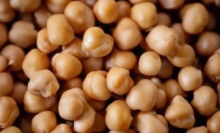    Алтайский нут и рецепт древнеримского пульса для вашего здоровья