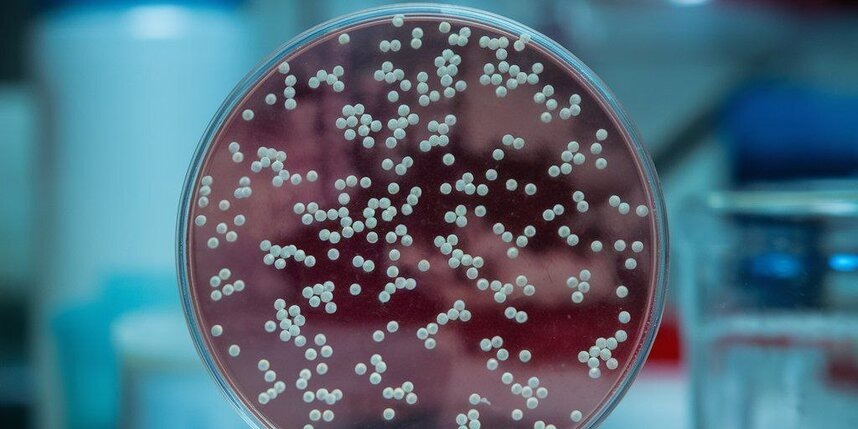    сгенерировано нейросетью по запросы Metro