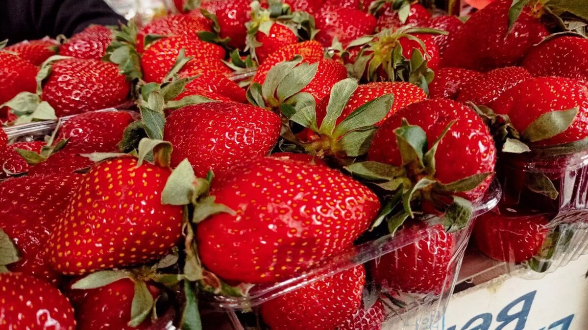     Источник: prmira.ru