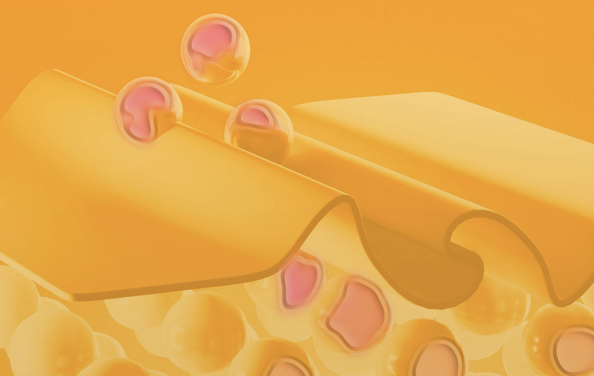 Фото: Shuttertock