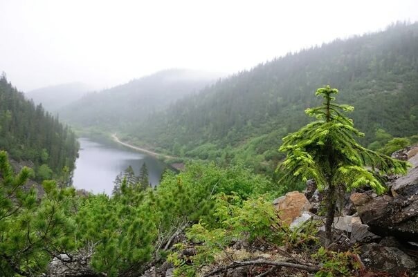    Фото: dia-logika.ru