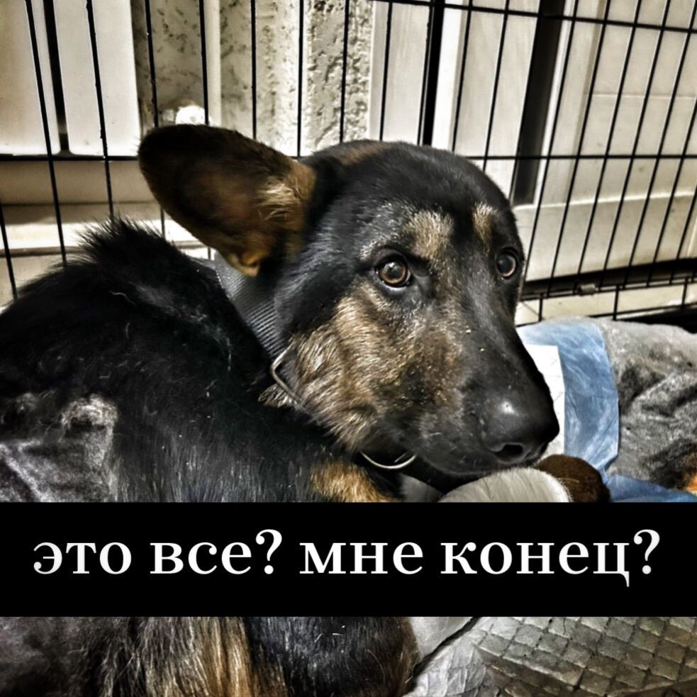 Срочный день стольника, чтобы спасти ЦЕЛУЮ ЖИЗНЬ!