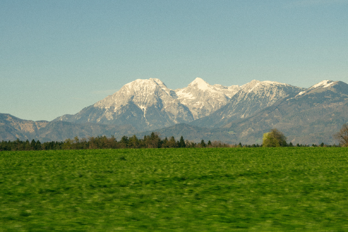 Photo by @forest_gnome3