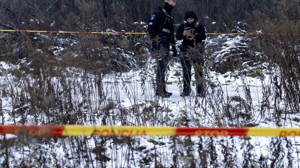    © AP Photo / Mindaugas Kulbis