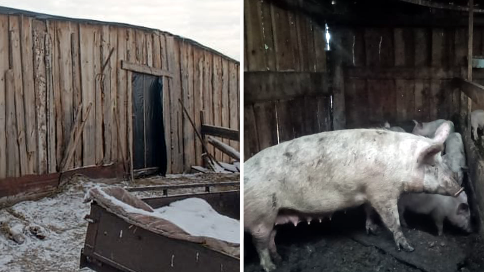 Фото: © Прокуратура Красноярского края