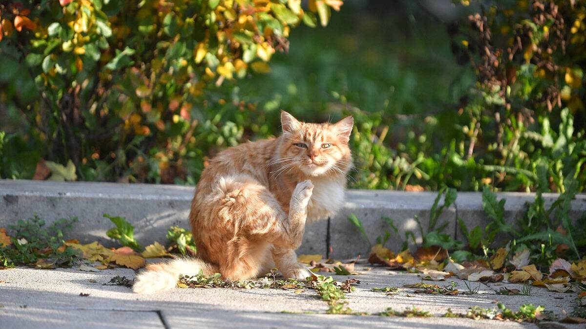    Фото: Сергей Киселев / АГН Москва