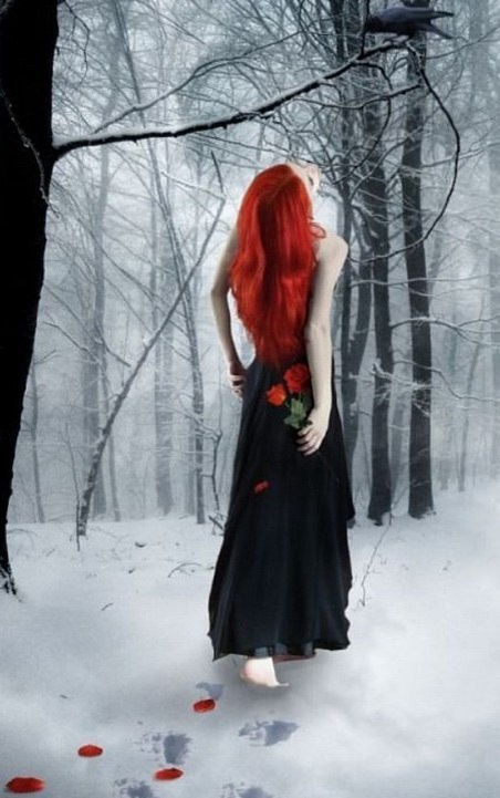 Из открытых источников, иллюстрация 