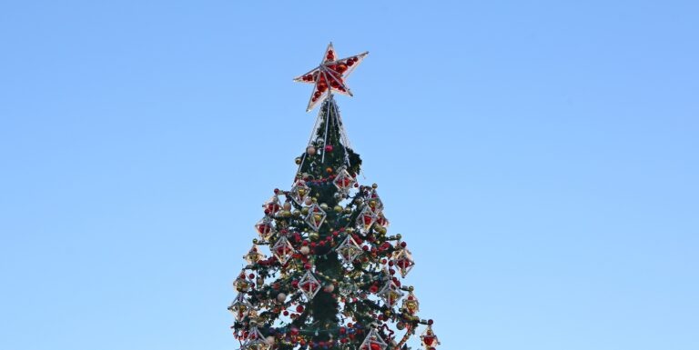    В Оренбурге установили первую новогоднюю елку «О»