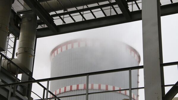    © Sputnik / Александр Жибуль