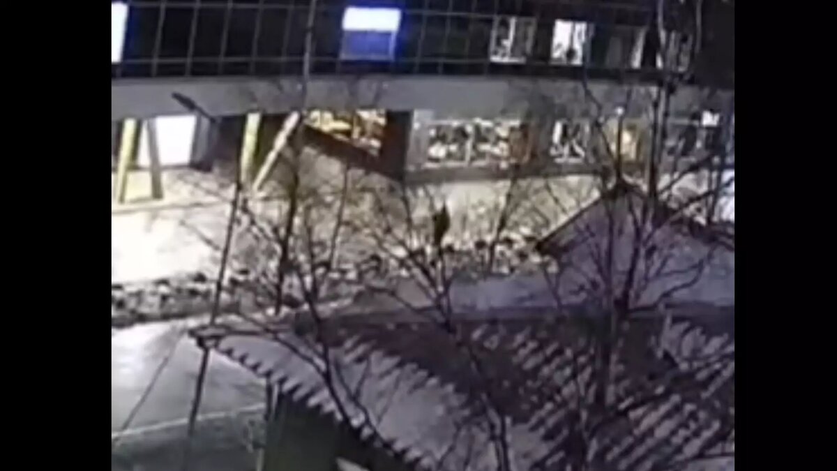     Источник: скриншот видеозаписи