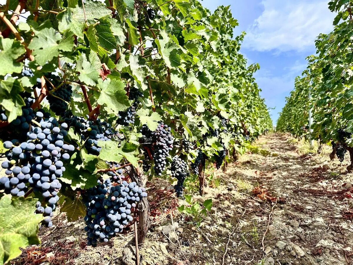     © "Интерфакс". Марина Иванова