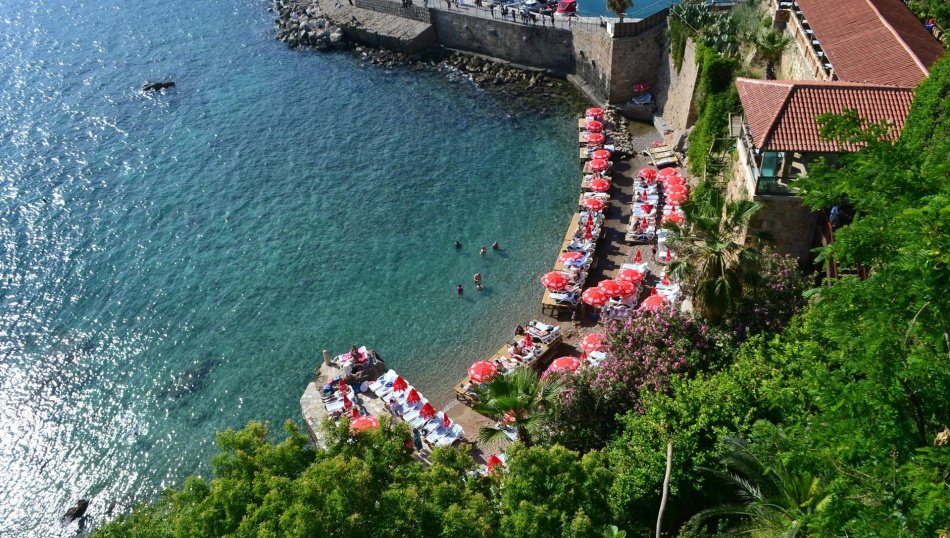 Фото: liliia, unsplash