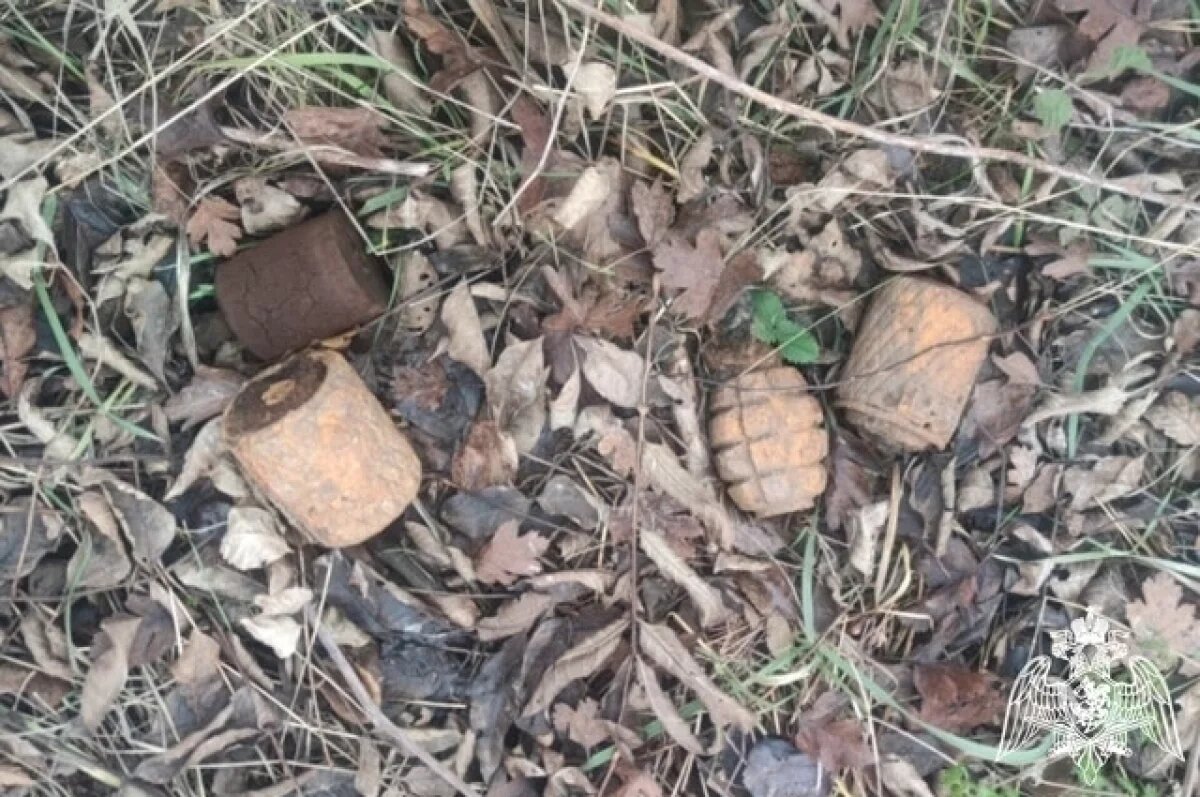    В Крымском районе уничтожили гранаты времен Великой Отечественной войны