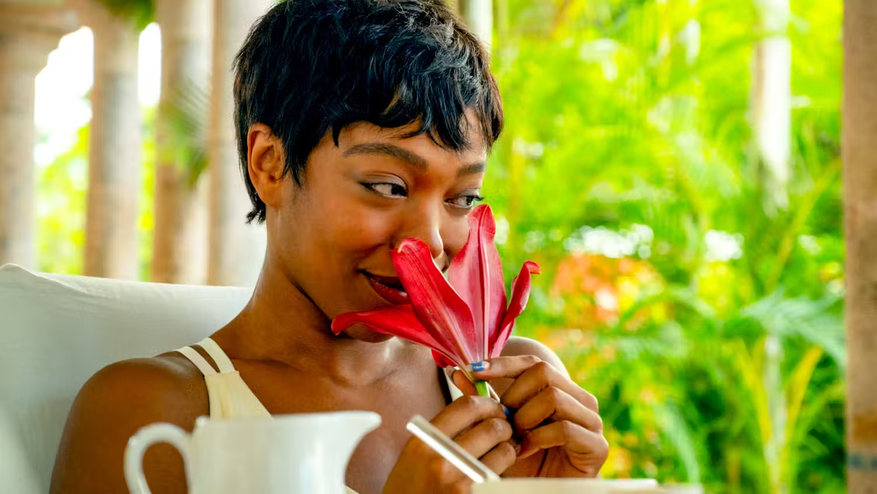 фото с сайта https://www.ixbt.com/live/movie/poday-znak-vse-uliki-ukazyvayuschie-na-shokiruyuschuyu-razvyazku-trillera-zadolgo-do-finala.html