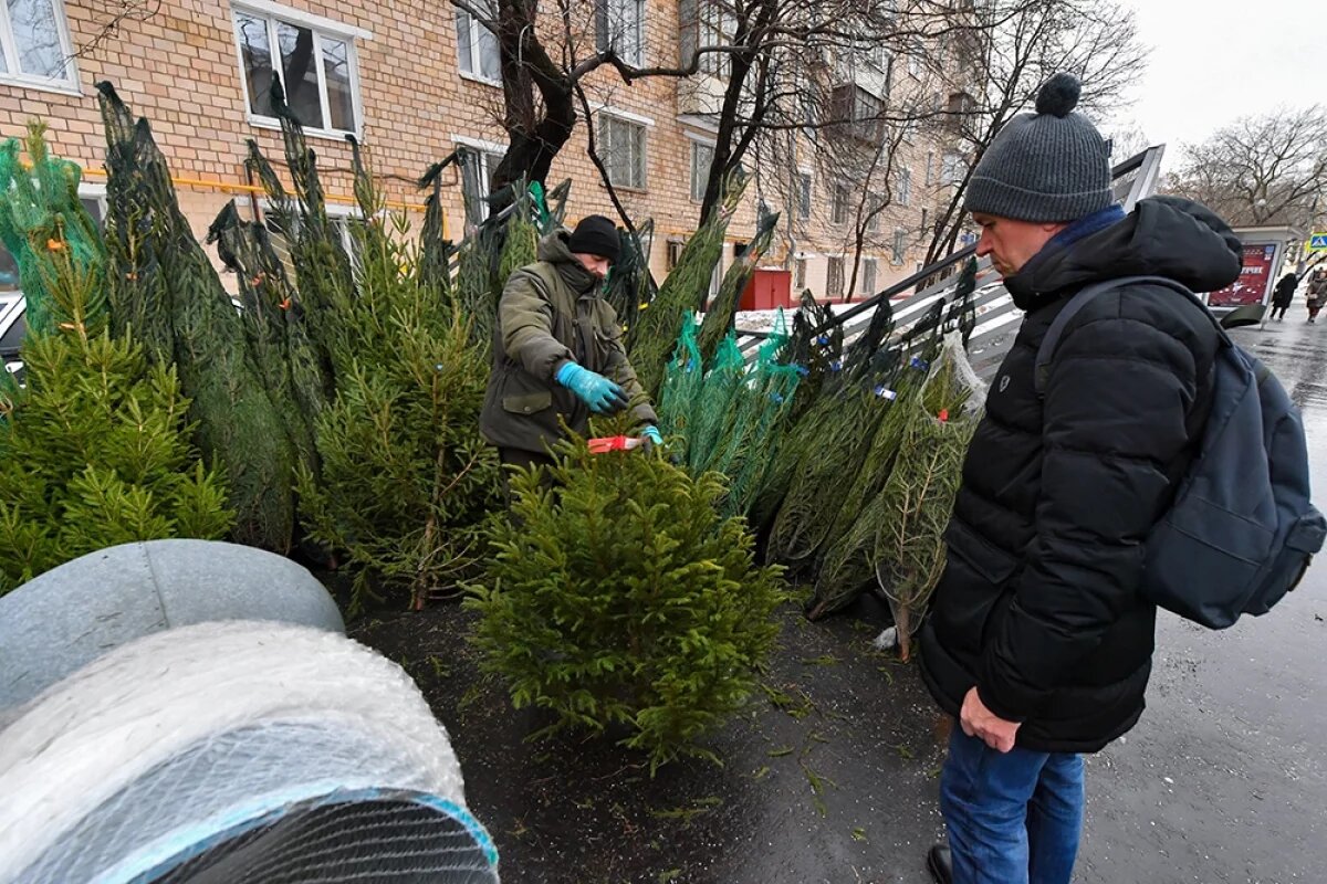    Опубликованы места для ёлочных базаров в Пскове