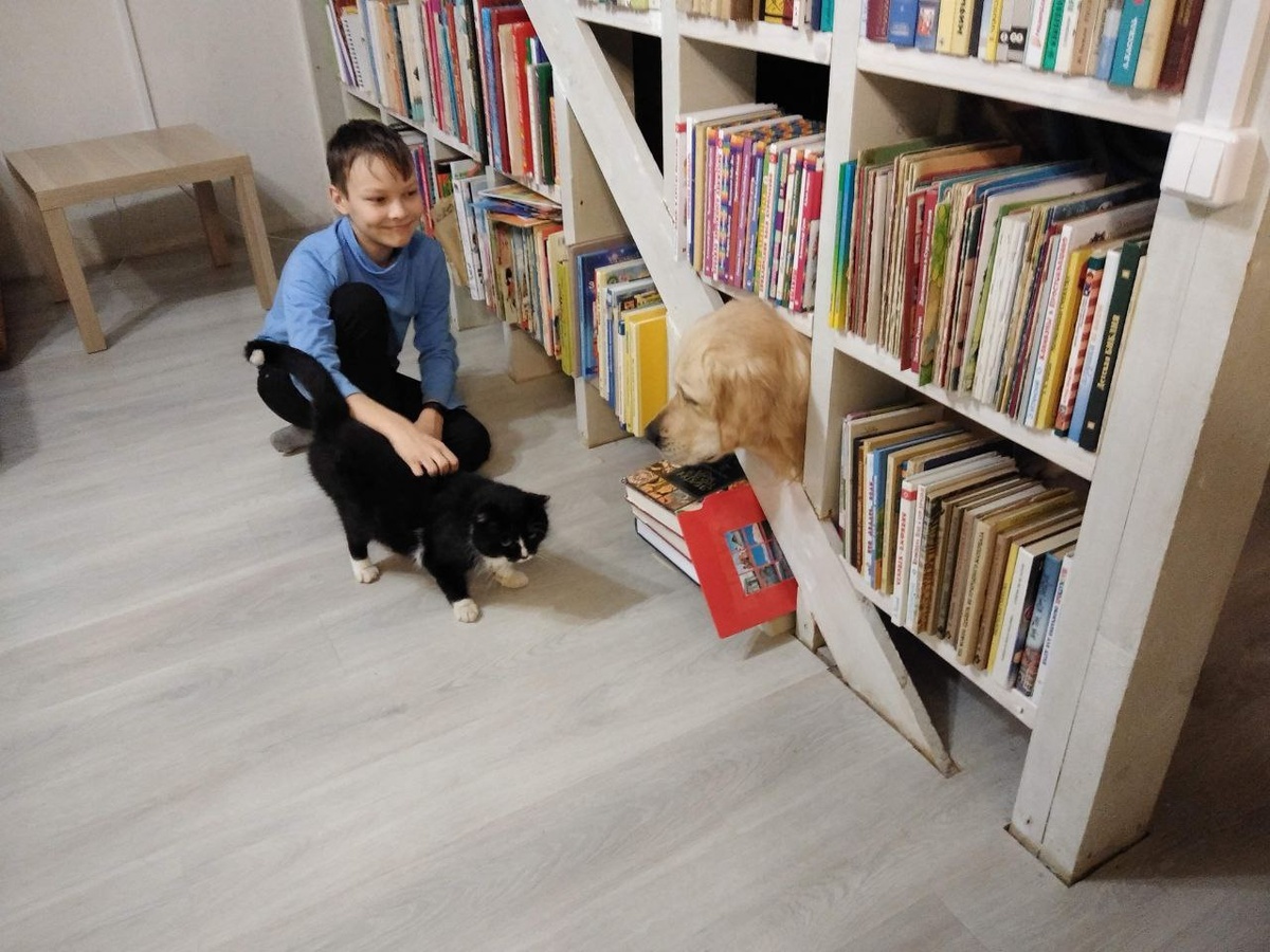 Книжки торчат