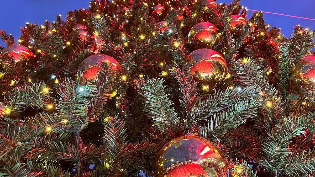    Фото: телеканал «Краснодар»