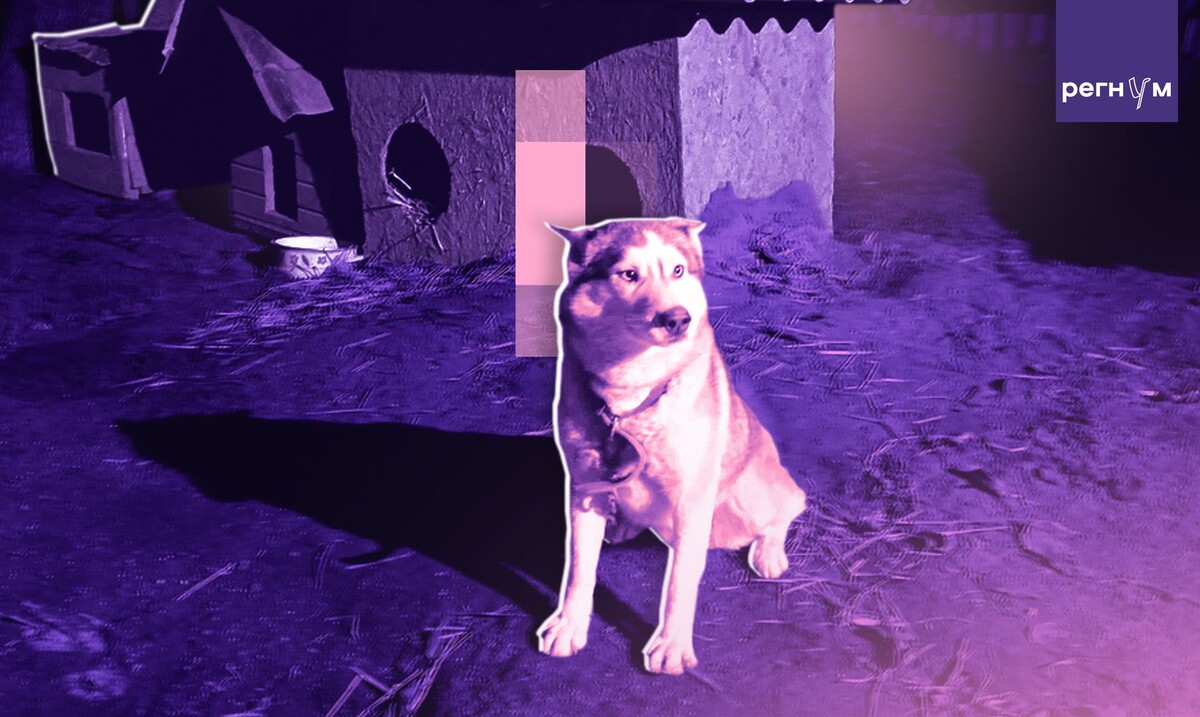     / Источник: © ИА Регнум