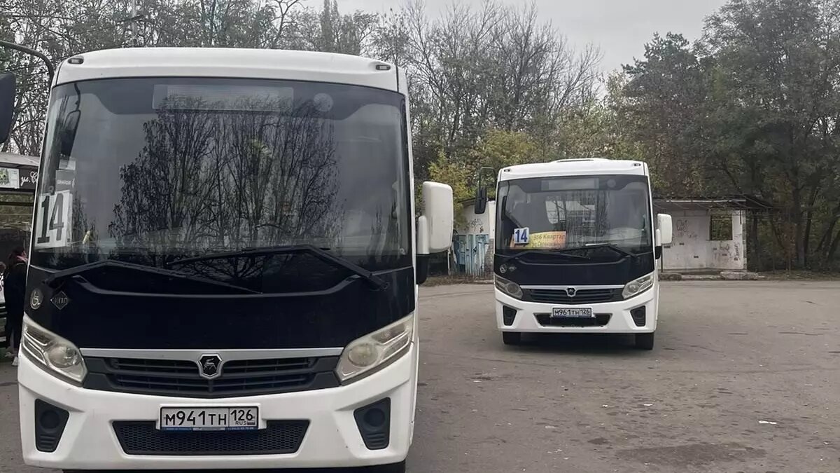     Автор: Миндор Ставропольского края