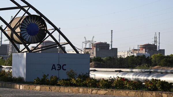    © Sputnik / Константин Михальчевский