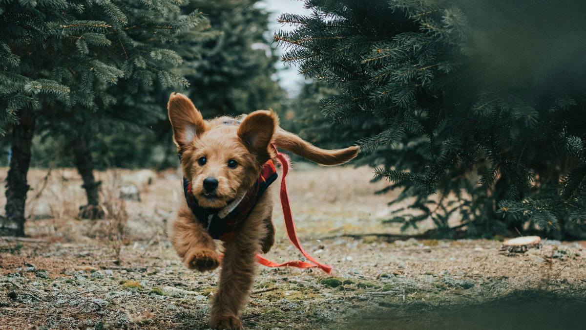 Как поставить цель и получить результат за месяц? 