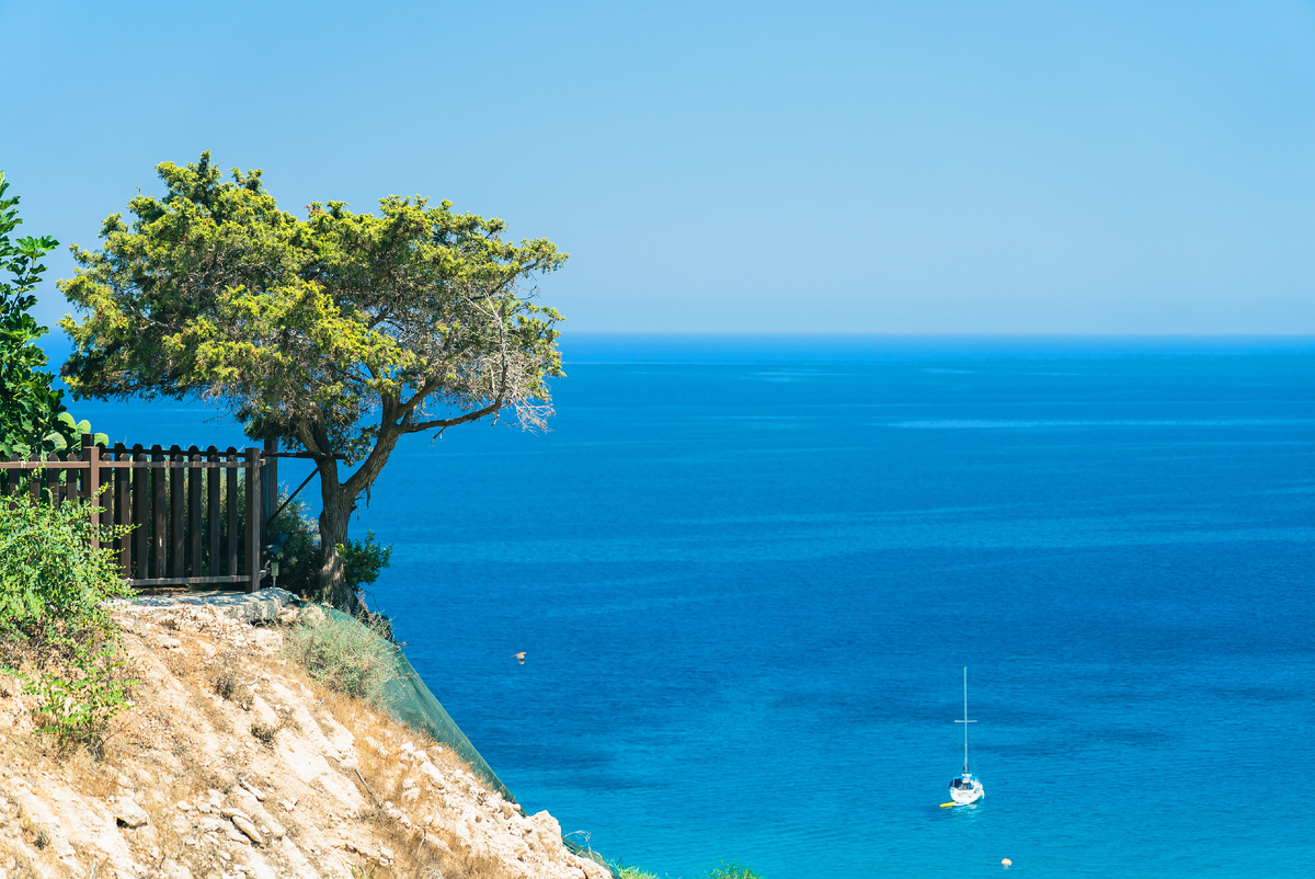Источник: https://ru.freepik.com/free-photo/beautiful-olive-tree-cliff-bright-blue-sea-with-boat-near-cape-greco-cyprus-island-mediterranean-sea_15907004.htm#fromView=search&page=1&position=7&uuid=d374c3cd-064a-48ee-b0f3-b5abee78d40f&query=%D0%B0%D0%B4%D0%B6%D0%B0%D1%80%D0%B8%D1%8F