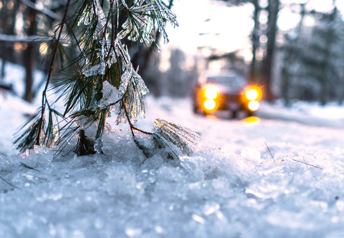 Фото: Unsplash/Matt Collamer
