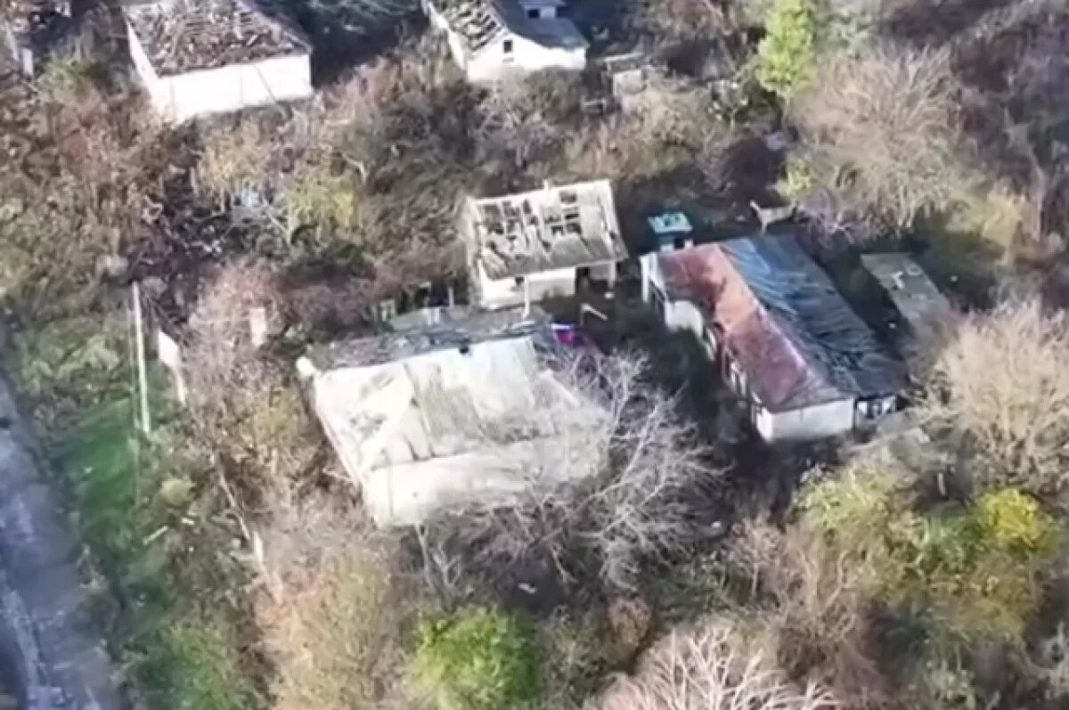    В Сети появились кадры водружения флага РФ над харьковским селом Копанка