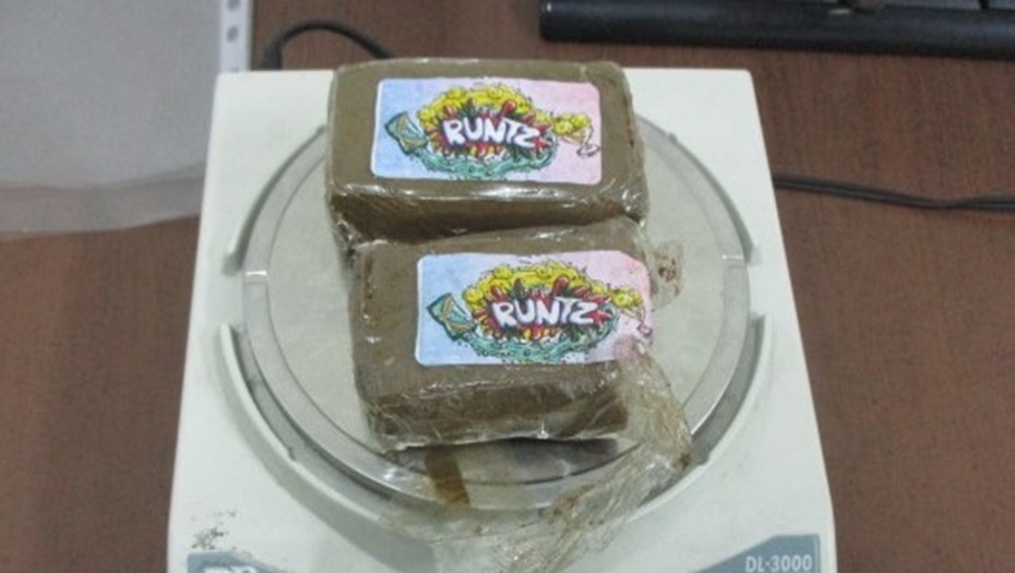    Автор фото: Псковская таможня