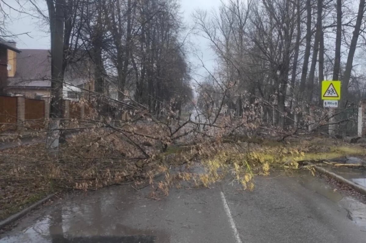    В Тульской области создадут регламент взаимодействия служб при авариях