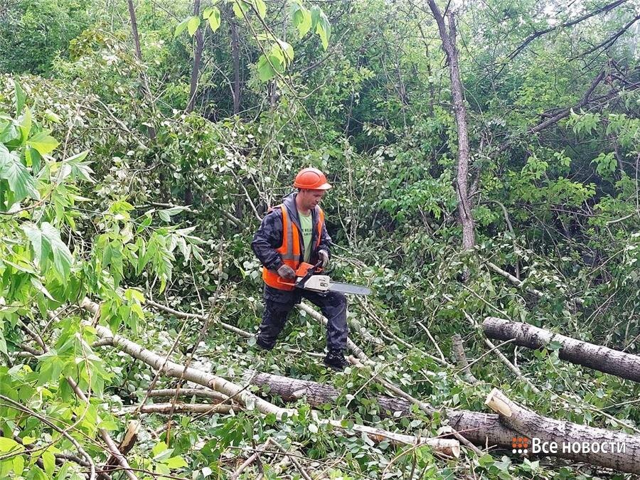 Начало первого этапа строительства парка "Восточный", фото из архива ИА "Все новости"