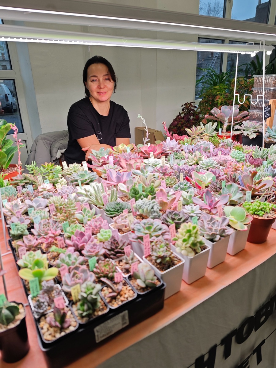 Я на последнем в этом году маркете в Санкт-Петербурге