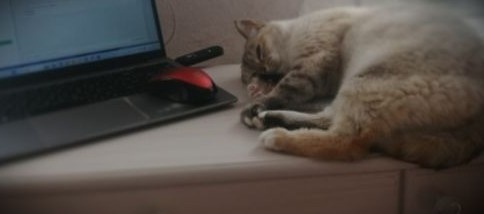 Устала. Из личного.