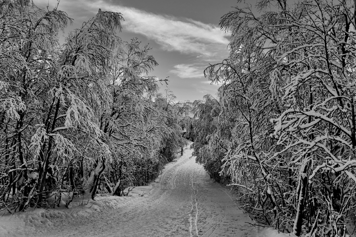 Фото Станислав Аникин