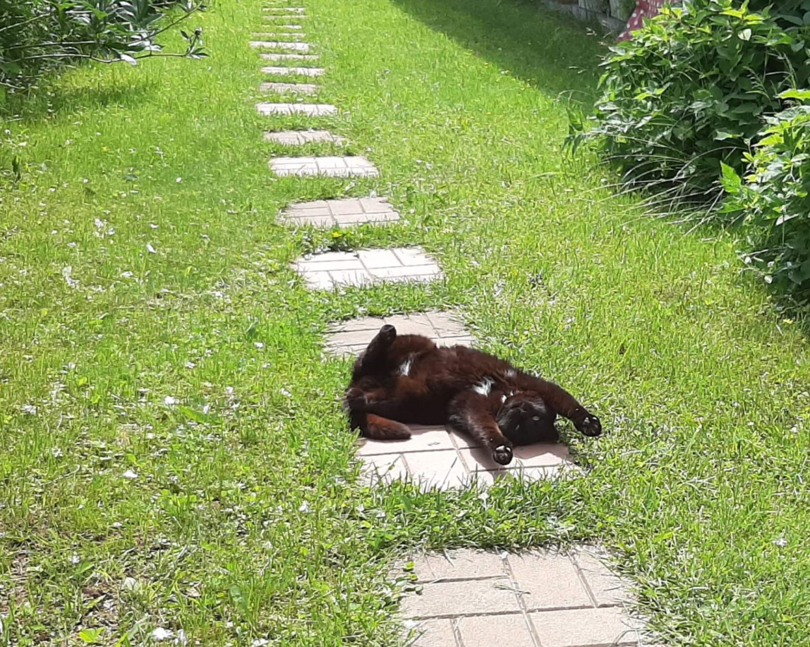 Ну, как не пробежаться по травке босиком в жаркий солнечный денек?