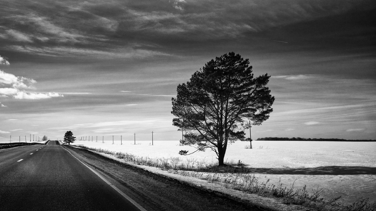 Фото Станислав Аникин.  Современная поэзия о любви Александр Зайцев.