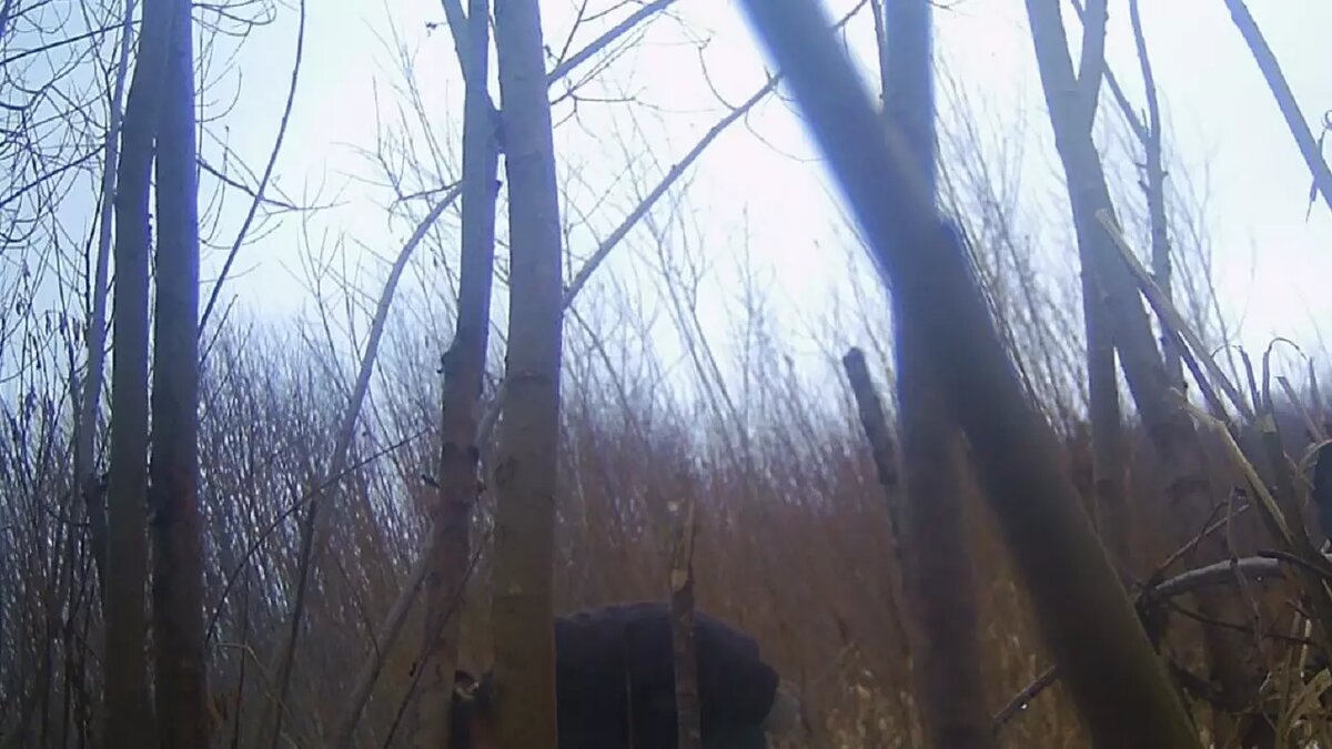     Источник: пресс-служба минприроды Удмуртии