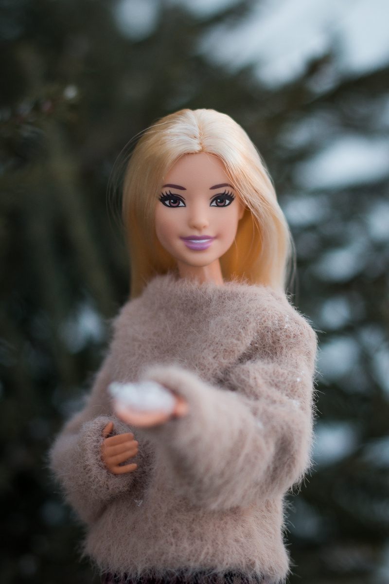 Barbie Fashionistas 31 Rock-'n'-roll plaid 2016 на стандартном теле МТМ