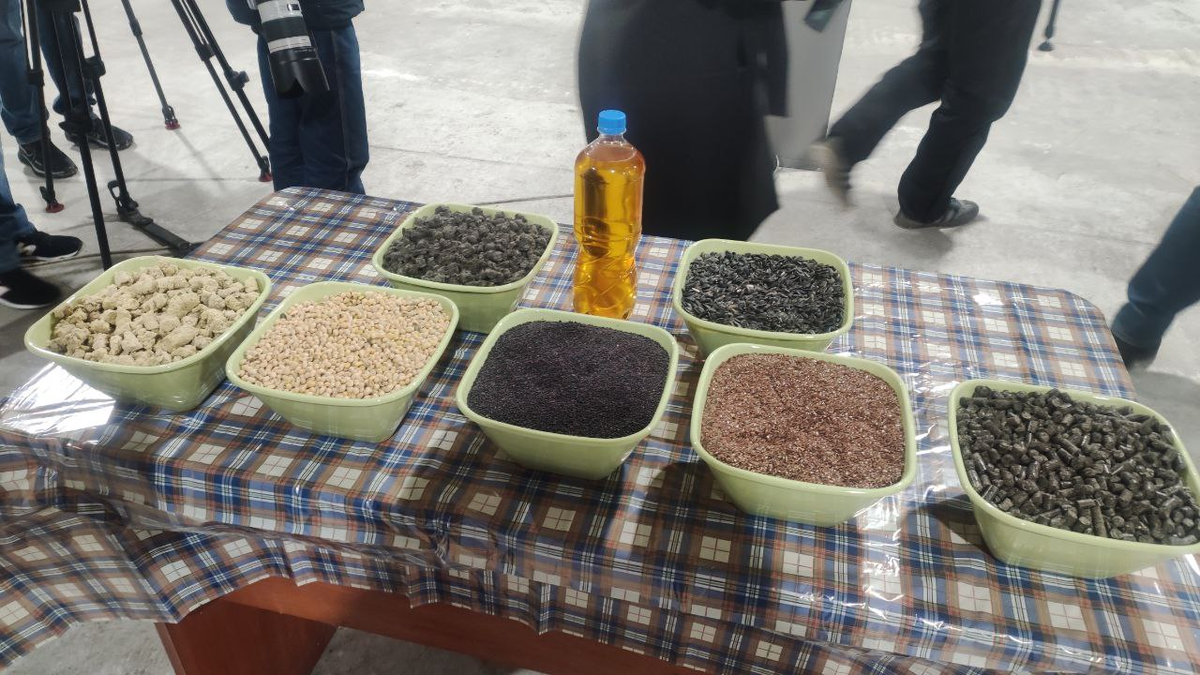 РИА Новости Крым