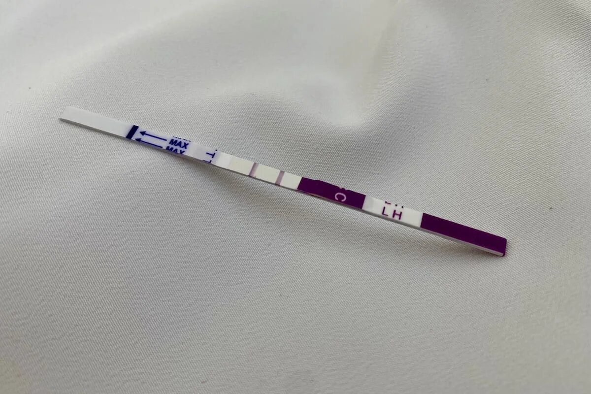 Фото: SterlitamakTime.ru / OOO «Уфатайм»