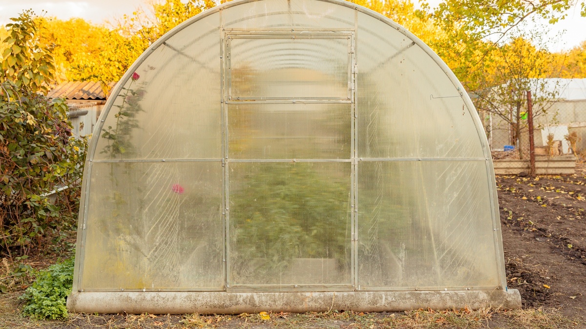 Фото: Irina Mikhailichenko / Shutterstock