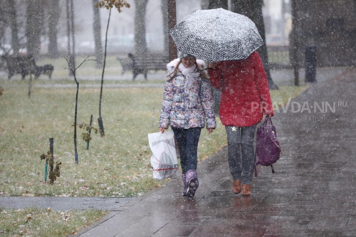    Ноябрьская погода удивляет нижегородцев
