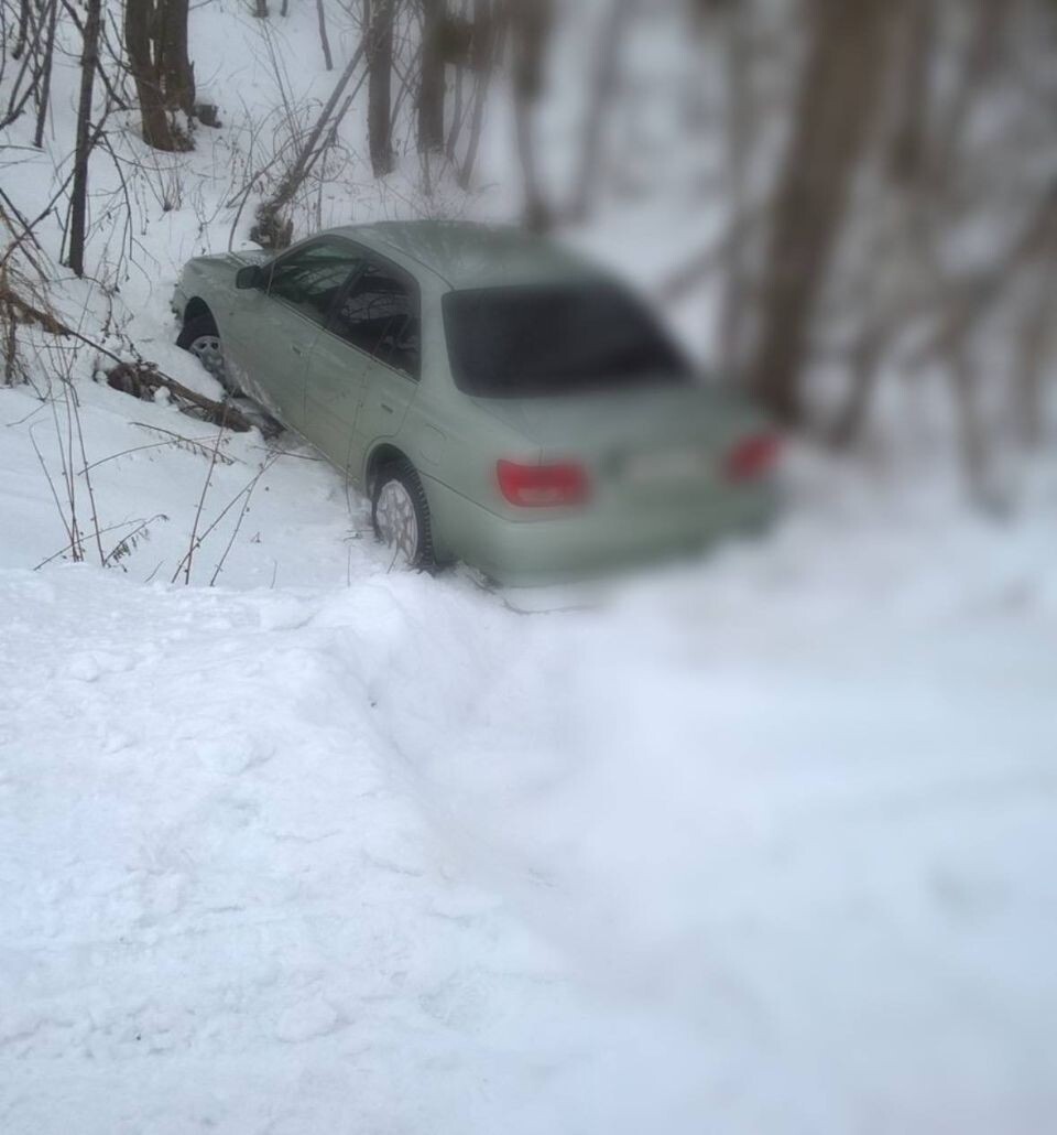    ДТП на бийской трассе. Источник: t.me/policebiysk