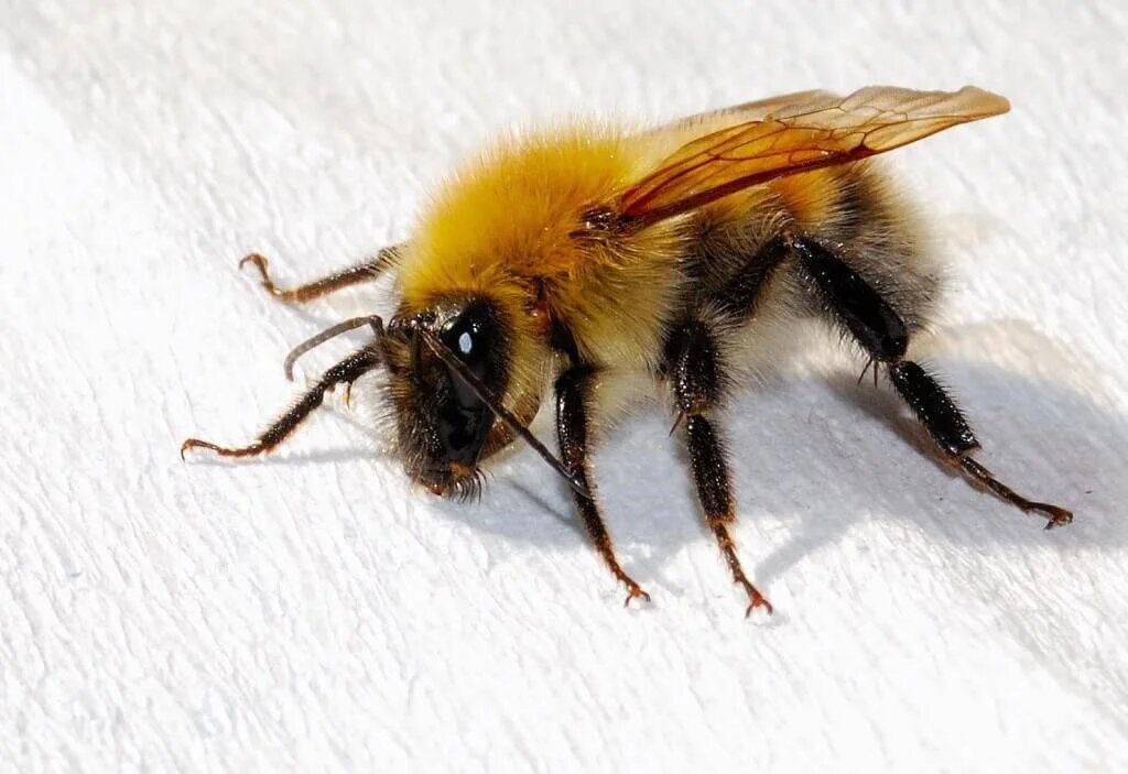 Фото: ФГБУН ФИЦКИА УрО РАН