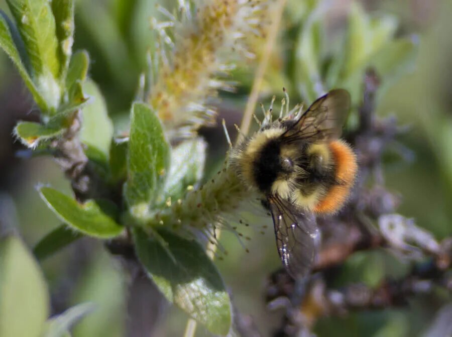 Фото: Русское географическое общество