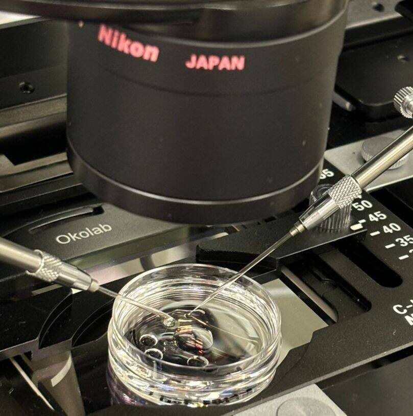 Клиника МАМА. Эмбриологическая лаборатория