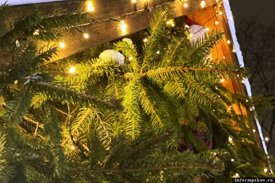 Стали известны места для ёлочных базаров в Пскове. Фото: ПАИ